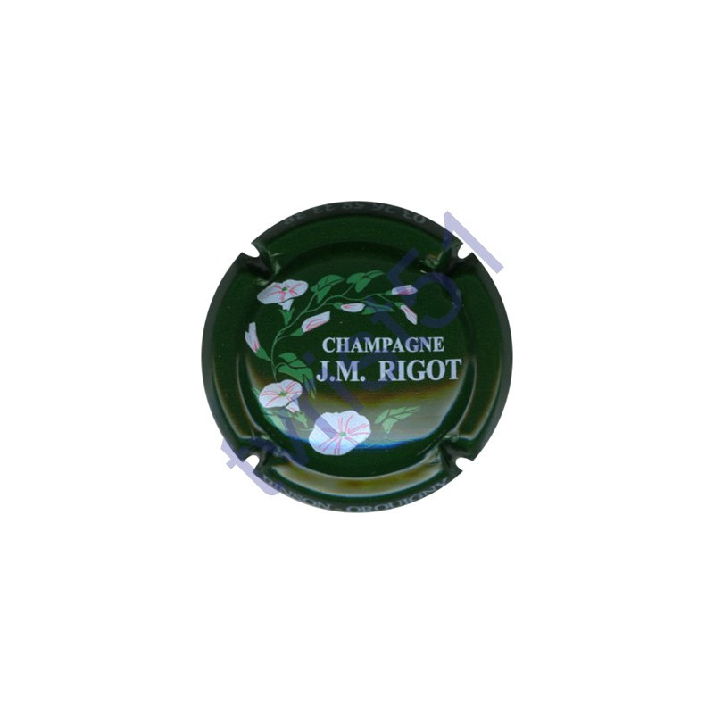 RIGOT J.M. n°10 vert inscription contour