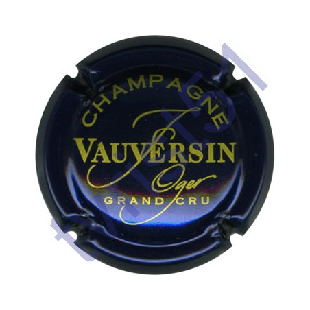 VAUVERSIN François n°14 bleu métallisé et or