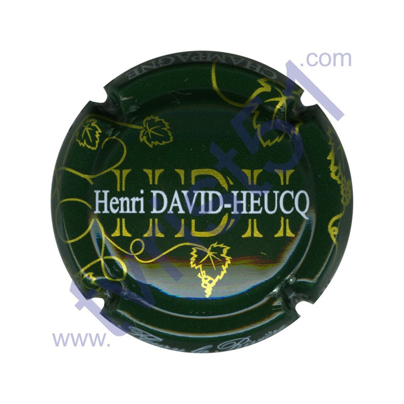 DAVID-HEUCQ Henri n°31a fond vert foncé