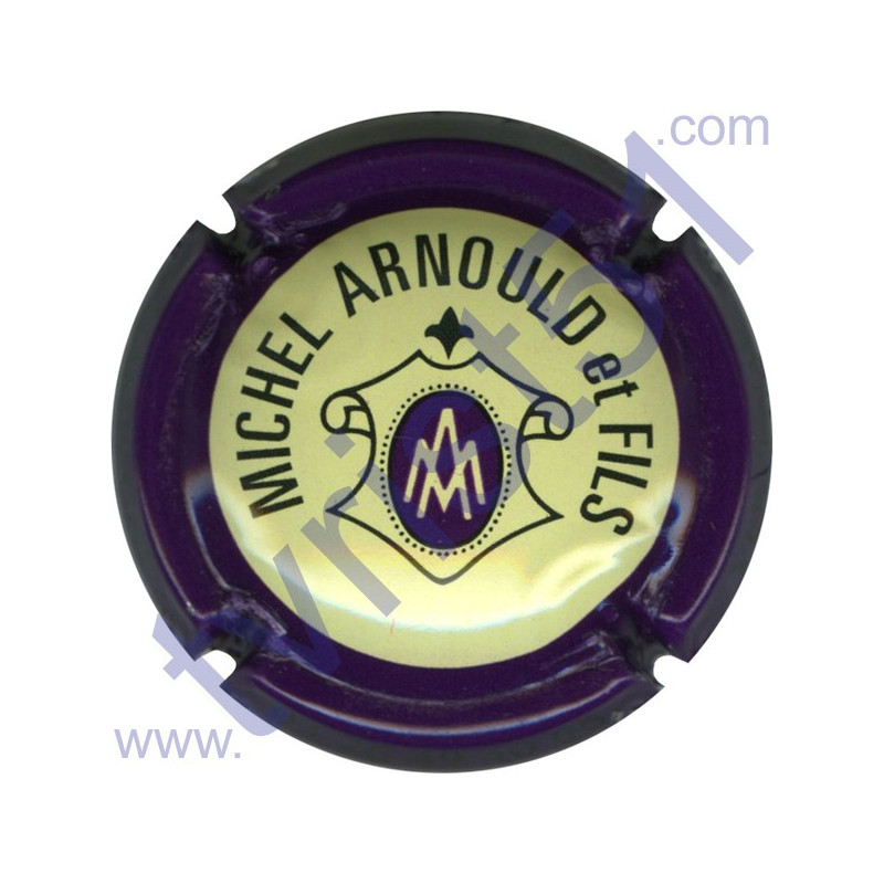 ARNOULD MICHEL n°14a contour violet