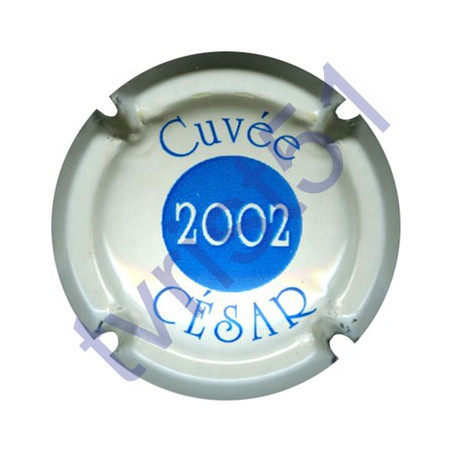 COUTELAS David n°09b César 2002