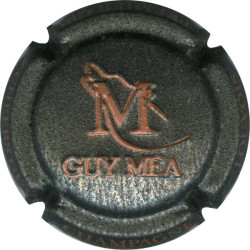 MEA Guy n°16a estampée anthracite et marron