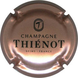 THIENOT Alain n°34b rosé et noir