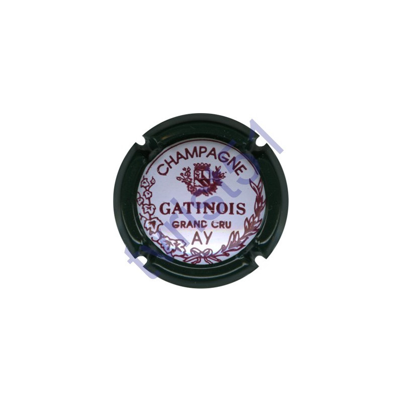 GATINOIS n°02 contour vert foncé